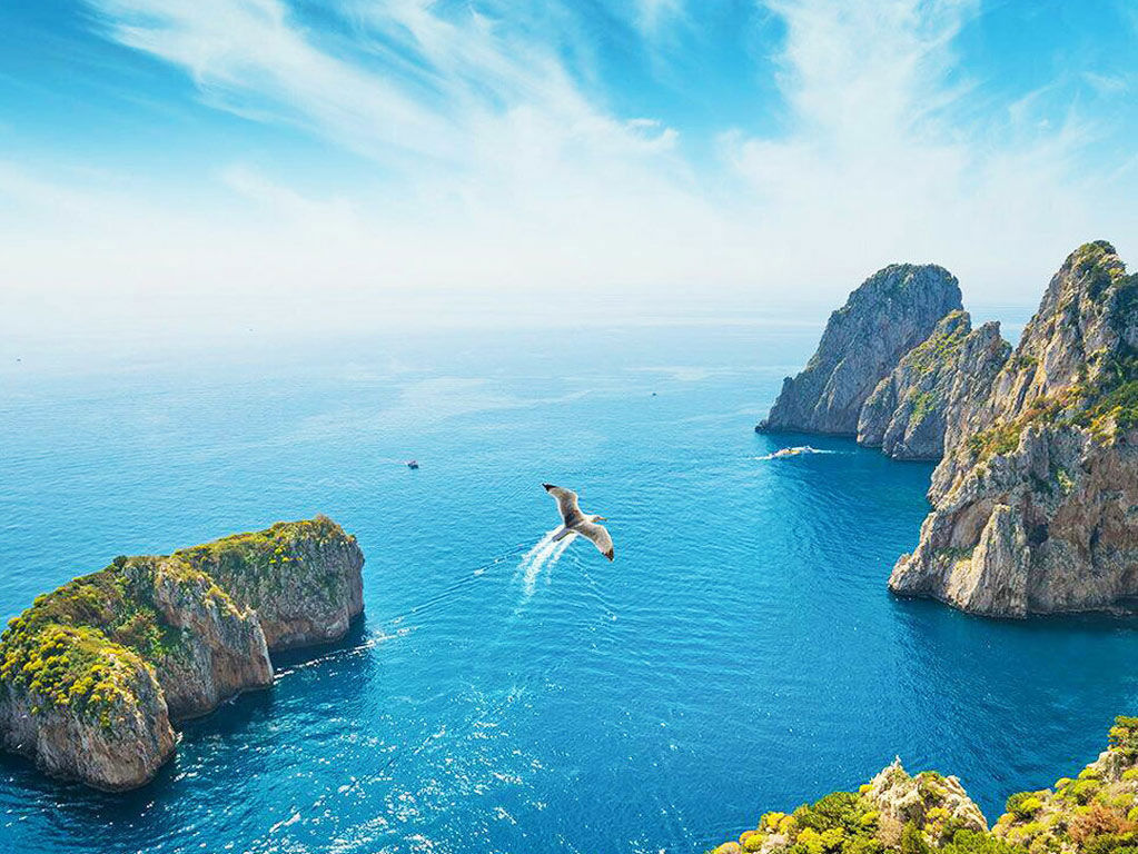 capri-boat-tour-faraglioni-seagull