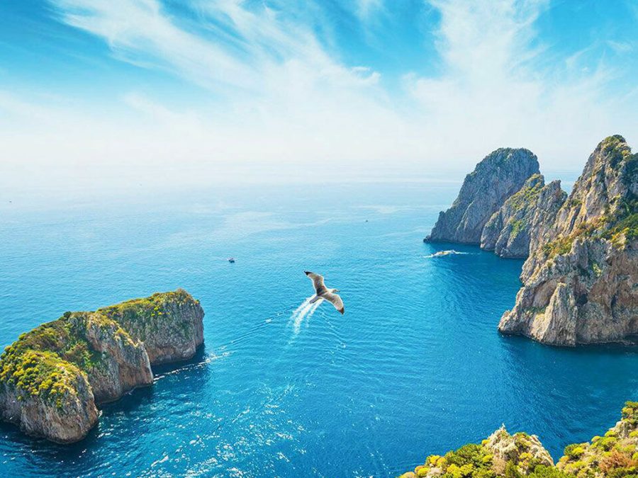 capri-boat-tour-faraglioni-seagull